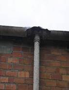 rainwater goods in asbestos